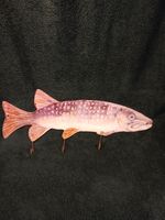 A Fisherman's Coat Hook! Tin Plate Pike With Three Coat Hangers.