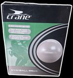 Gym Ball 65cm Fitness Pregnancy Yoga Ball with Pump