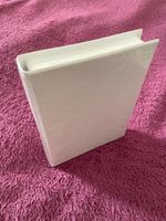 Plastic boxes with clear cover for insert, white, book style, case