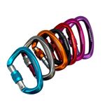 2pc 25KN Carabiner Clip Hook Heavy Duty Aluminum D-Ring Screw Lock Rock Climbing
