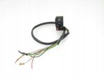 Suzuki LT 250 Quadrunner Left Switch