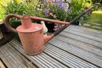 ANTIQUE RARE RED HAWS 4 GALLEON GALVANISED LONG REACH WATERING CAN ZINC LABEL