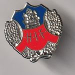 Helsingborg ( Sweden ) - lapel badge butterfly fitting