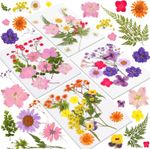 46pcs Dried Pressed Flowers Real Natural Floral Kit for Resin Crafts Nails Art