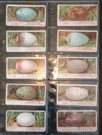 Ogdens BIRDS EGGS 1908 Set Of 50 *Fair/Good Condition*