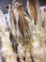 2kg Quality FURRY Rabbit Ears WITH HAIR FUR For Dogs, Used By Pro Trainers