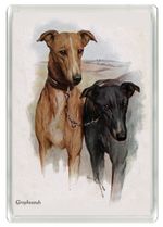 GREYHOUND DOG FRIDGE MAGNET GREAT GIFT