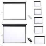Electric Motorized Remote Projector Screen/Manual Pull-Down Projector Screen 4:3