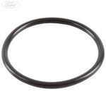 Genuine Ford 2.0 TDCi Injection Pump To Pressure Pump O-Ring 2014-2020 2125417