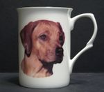 Rhodesian Ridgeback  Dog (Head BF) Fine Bone China Mug Cup Beaker