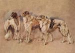 BORZOI DOG GREETING CARD THREE BEAUTIFUL DOGS NOTE CARD