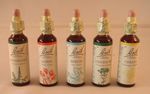 Bach Flower Remedies 20ml. All 38 Remedies from the Original Company of Dr Bach