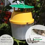 Plum Moth Pheromone Trap Catcher and Lure Refill For Plum Tree