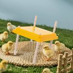 Chick Brooder Heating Plate, Adjustable Brooding Heater for Chicks 15W 220V