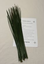 St Brigid's Cross Ireland.  *Make your own St Brigid’s Cross from Irish Reeds *