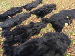 Real eco sheepskins sheepskin sheepskin fur black up to 140 cm 2nd choice bar...