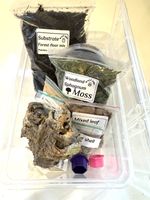 Isopod Millipede invert Starter Kit , Box  1.3 Litre Enclosure, Complete set Up.