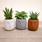 Human Face Plant Pots Nordic Style Planter Ceramic Home Ornament House Gift