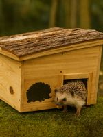 Wooden Hedgehog House Home Garden Animal Shelter