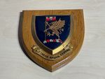 Vintage Southampton University Wooden Mess Plaque Strenuis Ardua Cedunt