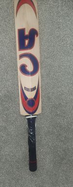 CA White Gold English Willow Cricket Bat