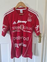 Adidas player shirt from the Italian handball
