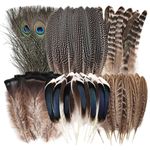 Bulk Natural Pheasant Feathers For DIY Crafting Supplies Beautifully Unique UK