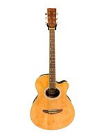 Rochester SGS2043C-AG Right Handed Acoustic Guitar