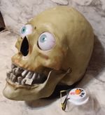 GEMMY Animated Halloween Human SKULL Animatronic Jaw Movement, Eye Light & Sound