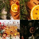 10ml Christmas Fragrance Oils For Candles, Wax Melts, Soaps, Cosmetic, Diffusers