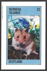 Bernera Islands Scotland 1982, £2 Mouse, MNH Imperf M/S #M2708