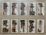 A Complete Set of Lambert & Butler Cigarette Cards The Thames Lechlade London