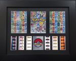 POKEMON Original 35mm Film Cells set within Quality Wood Frame + COA