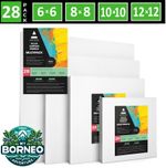 Blank Canvas for Painting Artist Boards 28 Pack Square Pre-Primed 100% Cotton