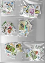 Birds (mainly wild) - thematic stamps World mix  - 50 different stamps off paper