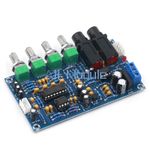 NEW PT2399 AC 12V Dual Power Supply Microphone Amplifier Module For Karaoke