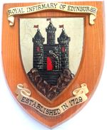 Edinburgh Royal Infirmary Hospital Mess Plaque or Shield Beautifully Restored