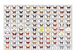 2026 07- DJIBOUTI  - BUTTERFLIES                       100V    MNH **