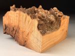Hollow Live Edge Burr Elm Resin Square Woodturning Bowl Blank 6.5x4. inch 1.8 KG