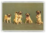PUG DOG FRIDGE MAGNET GREAT GIFT