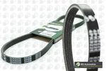 BGA Multi-V Drive Belt for Nissan Almera Tino QG18DE 1.8 Dec 2002 to Dec 2006