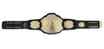Demetrious Johnson Signed UFC Belt 4mm COA Included Private Signing