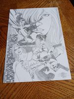 Birds Of Prey Lady Blackhawk Oracle Huntress Original Comic Book Art Cover Comm