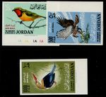 JORDAN 1964 Air Birds IMPERF set Mi.490/2 B, SG 627/9 var, NH MINT cat 400€