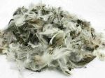 ! SALE !  Soft Loose Duck Feather Toy Stuffing Cushion Pillow Sofa Filling Teddy