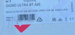 BFT GIUNO ULTRA BT A20 24V Hydraulic Swing Gate Operator 2m Leaf 2600869