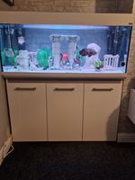 Fish Tank Aquarium
