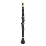 Rosedale Professional C Clarinet by Gear4music - INCOMPLETE - RRP £199