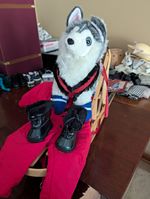 Pleasant Company American Girl of Today Sledding Outfit with Husky Dog And Sled