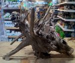 Large Corbo Root Aquarium Bogwood Vivarium Root Driftwood Catfish Cave